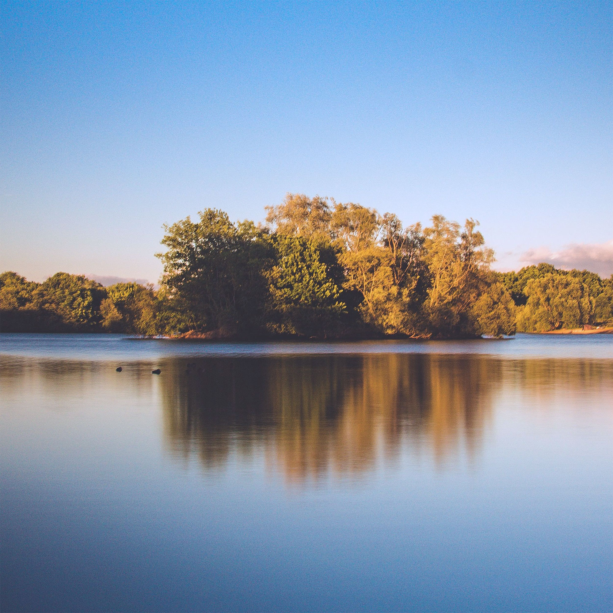 See mit ruhigem Wasser, das die Bäume am Ufer spiegelt, unter klarem Himmel.